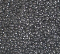 BLACK KIDNEY BEANS/POLISHED BLACK KIDNEY BEANS