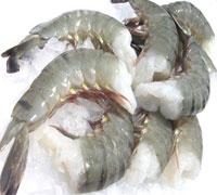 Black Tiger Shrimp And Vannamei Shrimp