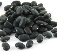 Black kidney bean