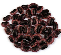 Black speckled kidney bean