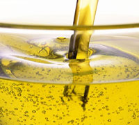 Crude Sunflower Oil