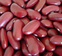 DARK RED KIDNEY BEANS (BRITISH TYPE)
