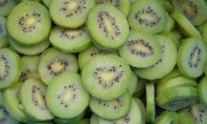 Frozen Kiwi Fruit Slice