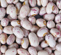 LIGHT SPECKLED KIDNEY BEANS (HUANAN ROUND)