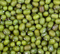 Mung Beans