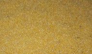 Polished Millet