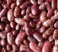 Purple speckled kidney beans