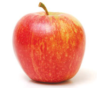 ROYAL GALA APPLE