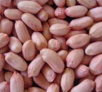 Round peanut 80/100