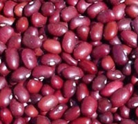Small red kidney beans