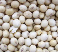 White Peas