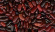 YunNan dark red kidney bean